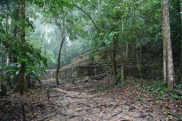 jungle-ruins.jpg